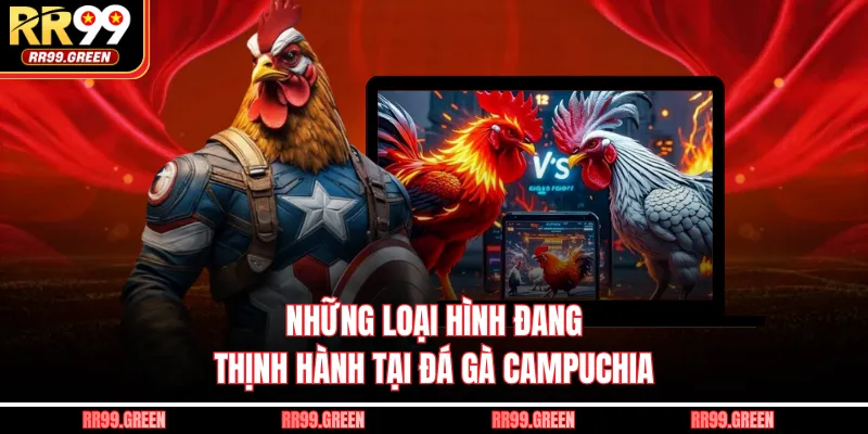 Những loại hình đang thịnh hành tại đá gà Campuchia